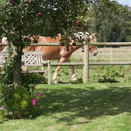 Le Manoir Du Pont Senot Bed & Breakfast