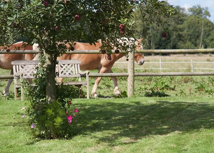 Le Manoir Du Pont Senot Отель типа 